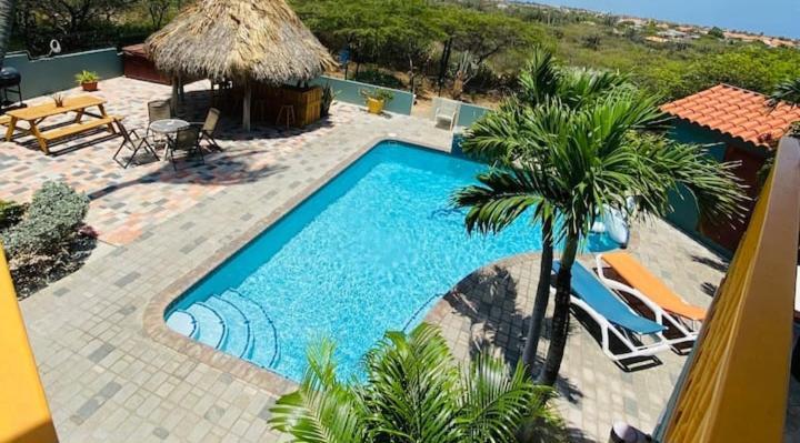 الشقق الفندقية اورانجستادفي  La Felicidad Aruba الغرفة الصورة